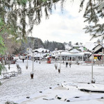 Zlatibor planina u Srbiji Royal Travel Jagodina 3