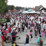 Zlatibor planina u Srbiji Royal Travel Jagodina 4